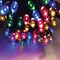 Celebrations Celebrations LED Micro/5mm Multicolored 100 ct String Christmas Lights 16.24 ft. X170331-88-M - alternate 2